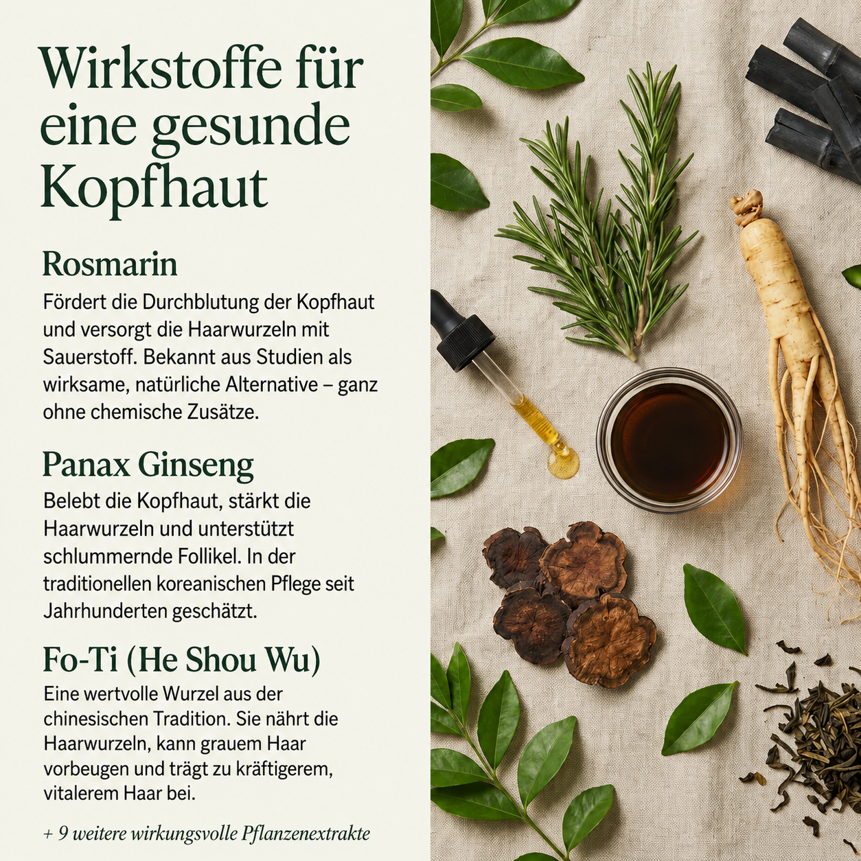 Koreanische Kopfhaut-Revitalisierungs-Bar