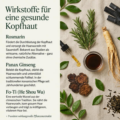Koreanische Kopfhaut-Revitalisierungs-Bar